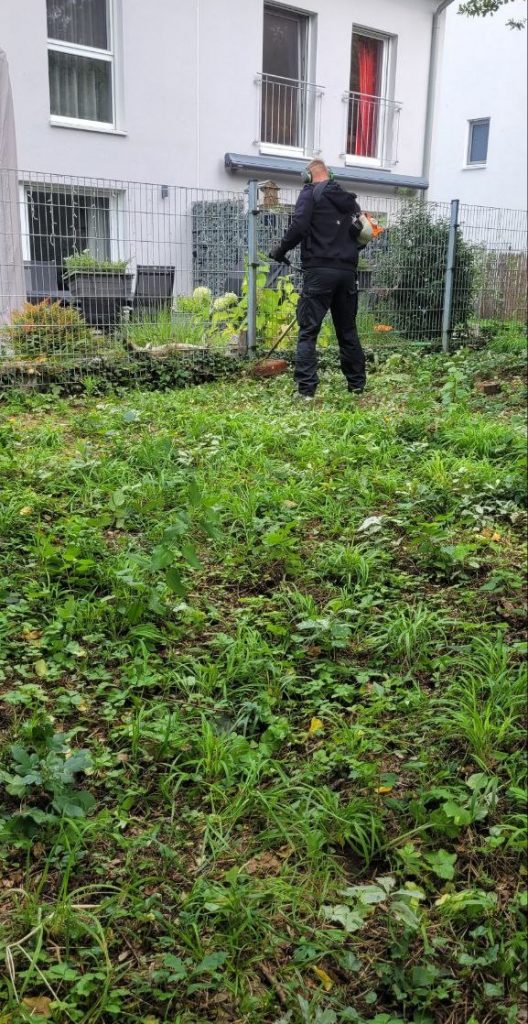 Terrassenerweiterung