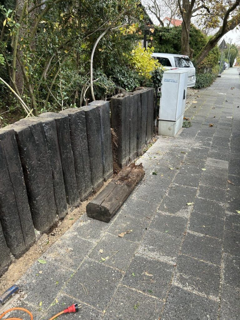 photo 2023 11 14 23 07 09